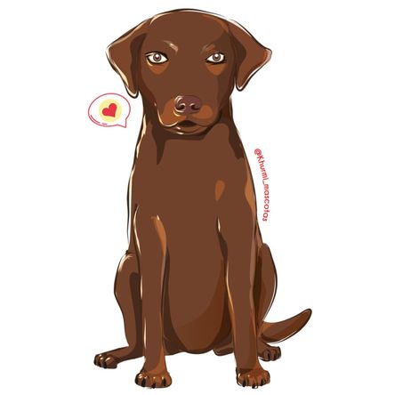 Cojín Dog Lover Khurmi Labrador Marrón Cojín Dog Lover Khurmi Labrador Marrón