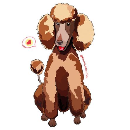 Cojín Dog Lover Khurmi Poodle Camote Cojín Dog Lover Khurmi Poodle Camote