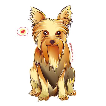 Cojín Dog Lover Khurmi Yorkie Cojín Dog Lover Khurmi Yorkie