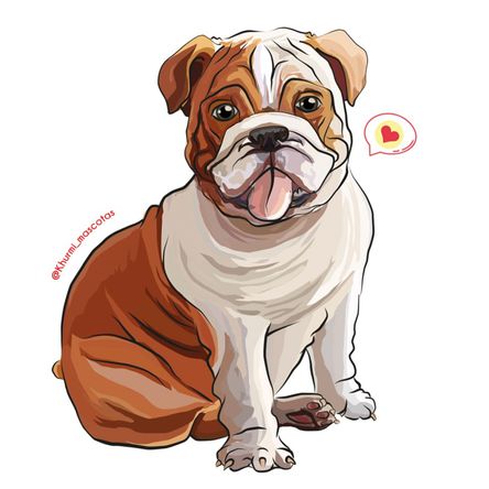 Cojín Dog Lover Khurmi Bulldog Inglés Cojín Dog Lover Khurmi Bulldog Inglés