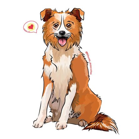 Cojín Dog Lover Khurmi Border Collie Marrón/Blanco Cojín Dog Lover Khurmi Border Collie Marrón/Blanco