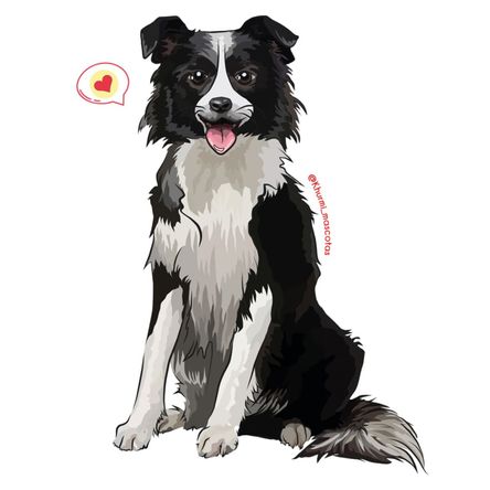 Cojín Dog Lover Khurmi Border Collie Negro/Blanco Cojín Dog Lover Khurmi Border Collie Negro/Blanco