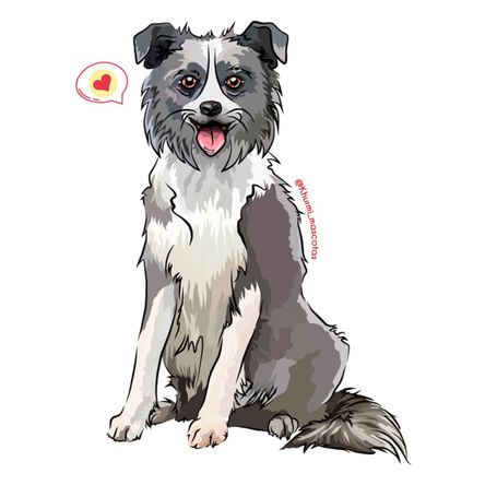 Cojín Dog Lover Khurmi Border Collie Plomo/Blanco Cojín Dog Lover Khurmi Border Collie Plomo/Blanco