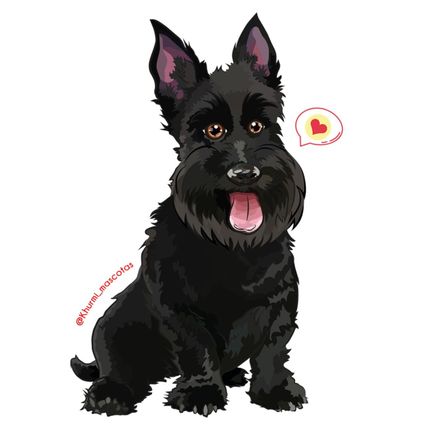 Cojín Dog Lover Khurmi Scottish Negro Cojín Dog Lover Khurmi Scottish Negro