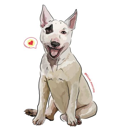 Cojín Dog Lover Khurmi Bullterrier Pirata Cojín Dog Lover Khurmi Bullterrier Pirata