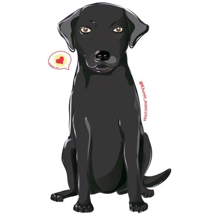 Cojín Dog Lover Khurmi Labrador Negro Cojín Dog Lover Khurmi Labrador Negro