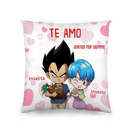 Cojin Dia de los enamorados san valentin 27