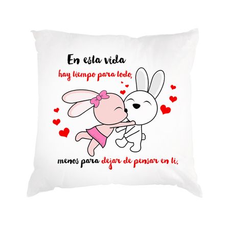 Cojin Dia de los enamorados san valentin 17