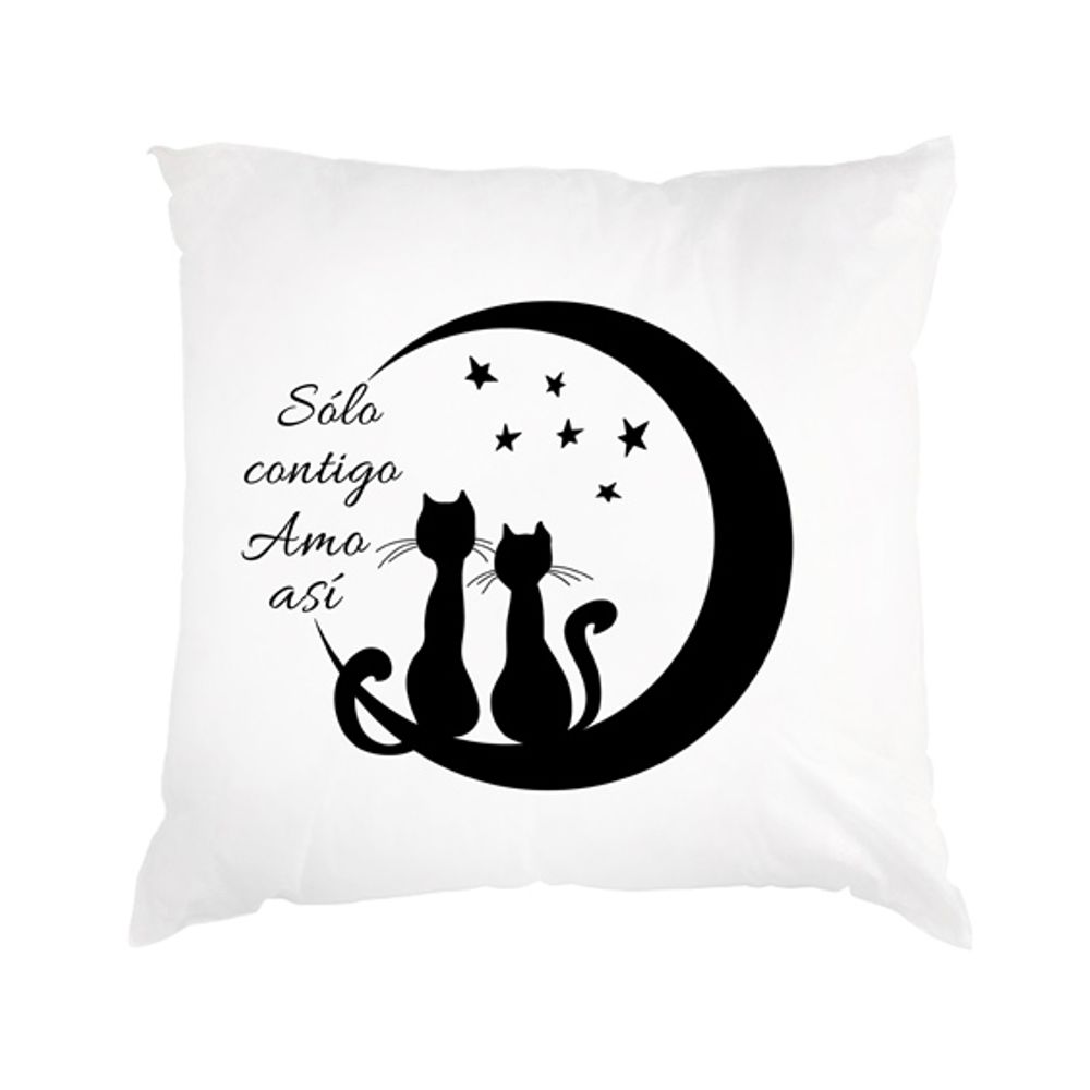 Cojin Dia de los enamorados san valentin 01 Cojin Dia de los enamorados san valentin 01