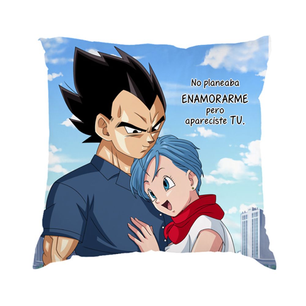 Cojin Dia de los enamorados san valentin 35 Cojin Dia de los enamorados san valentin 35