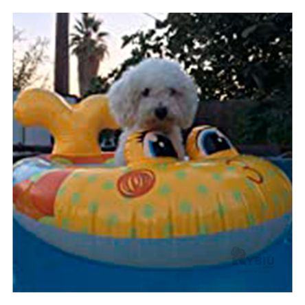 image-c5f0798283444d4089c61ab4c2adf9ce