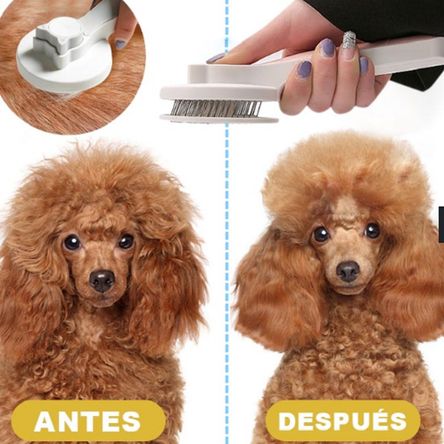 image-f95502df109c4f4fbd4f0ee356aa3ab0 image-f95502df109c4f4fbd4f0ee356aa3ab0