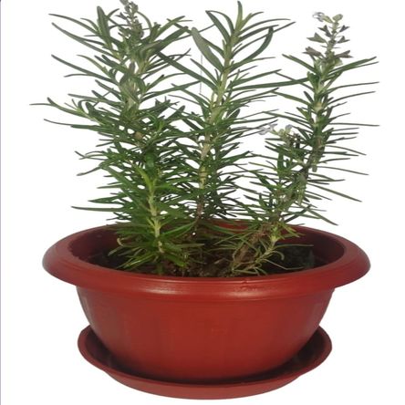 image-819fe664351e45d1b884f5ffbd7bbdfd image-819fe664351e45d1b884f5ffbd7bbdfd