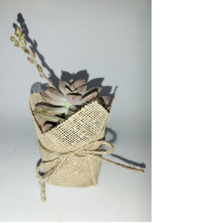 image-7b535085213d42a68571395eaa7e3140 image-7b535085213d42a68571395eaa7e3140