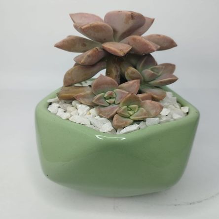 image-dd1dfffac6564f24a9dde40798f10f0c image-dd1dfffac6564f24a9dde40798f10f0c