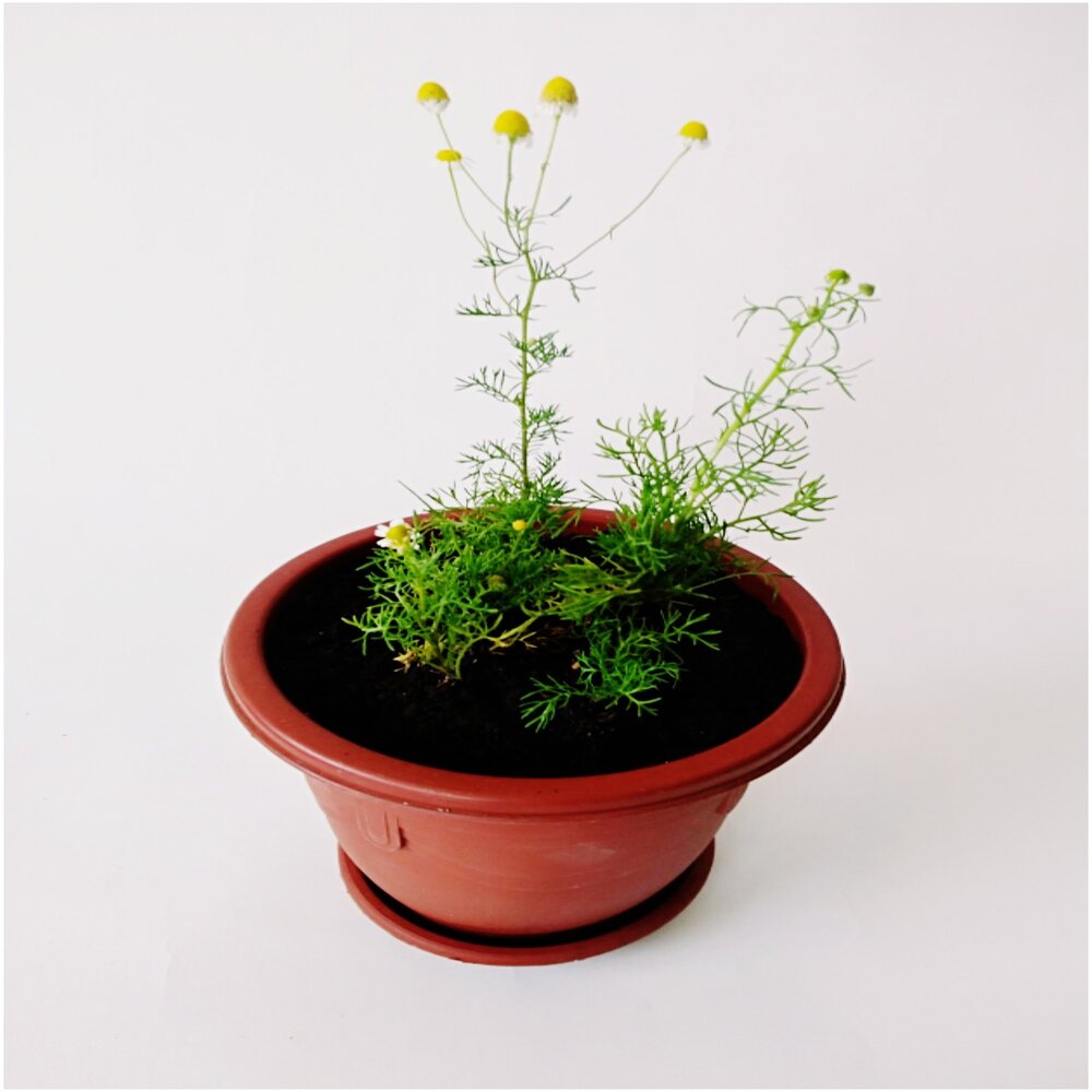 image-be3f0e3ff0ff40c793d4afbc2f1bb212 image-be3f0e3ff0ff40c793d4afbc2f1bb212