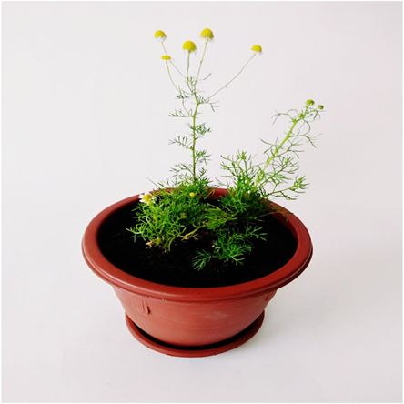 image-be3f0e3ff0ff40c793d4afbc2f1bb212 image-be3f0e3ff0ff40c793d4afbc2f1bb212