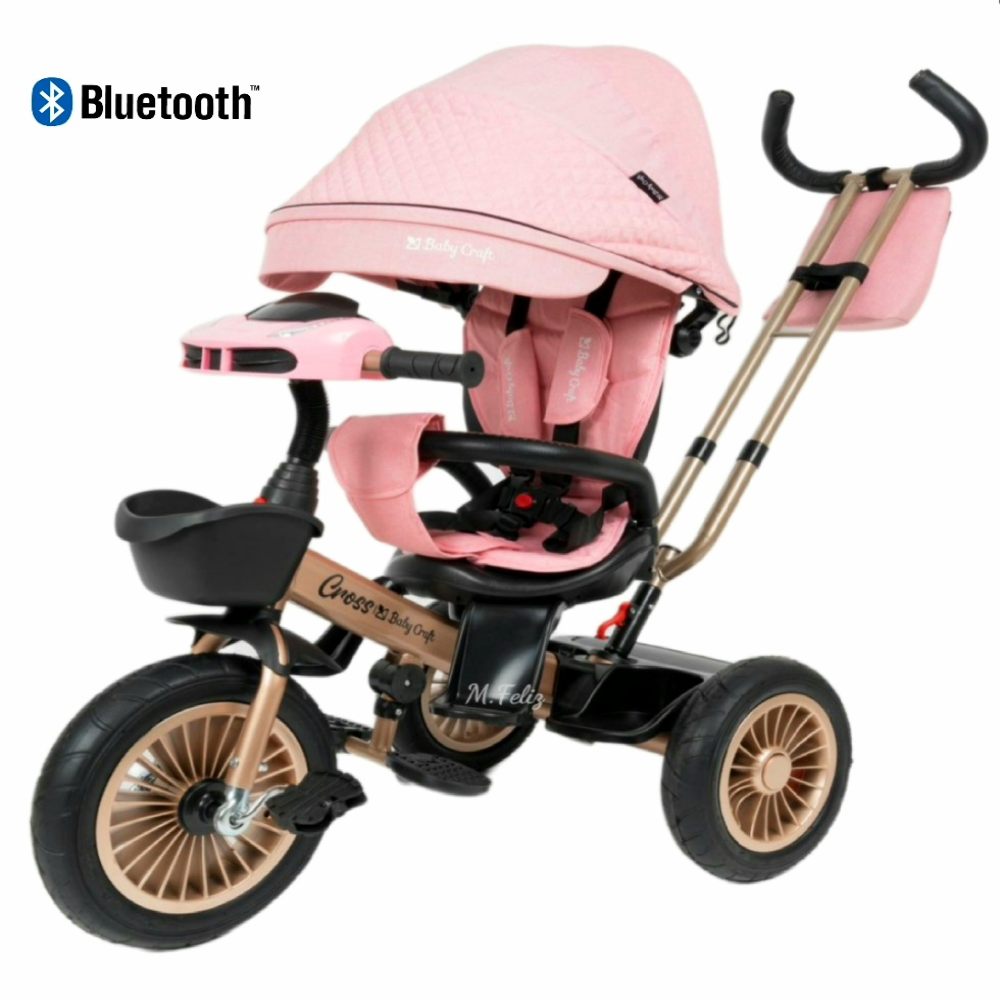 Triciclo Para Bebe Asiento Giratorio De Lujo Bh Rosa
