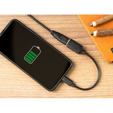 image-6f89fb3e876e4fd39238cb30549c3734 image-6f89fb3e876e4fd39238cb30549c3734