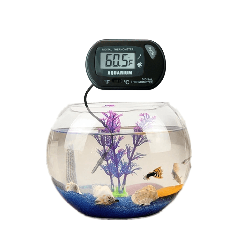 Termómetro digital 2 en 1. Temperatura exterior e interior del acuario.