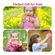 image-d073ba248aba41949e41494945ca3bcb