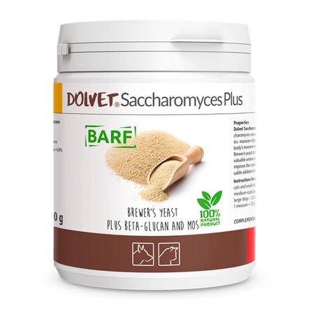 image-db84d1f9503b49728892d2d242358546 image-db84d1f9503b49728892d2d242358546