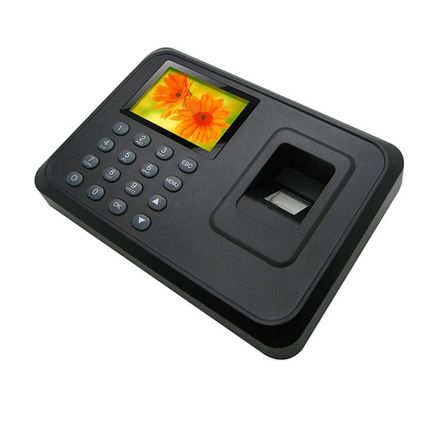 image-e693a1ff3edb4f1ba39c3ed9e7b5a7b4 image-e693a1ff3edb4f1ba39c3ed9e7b5a7b4