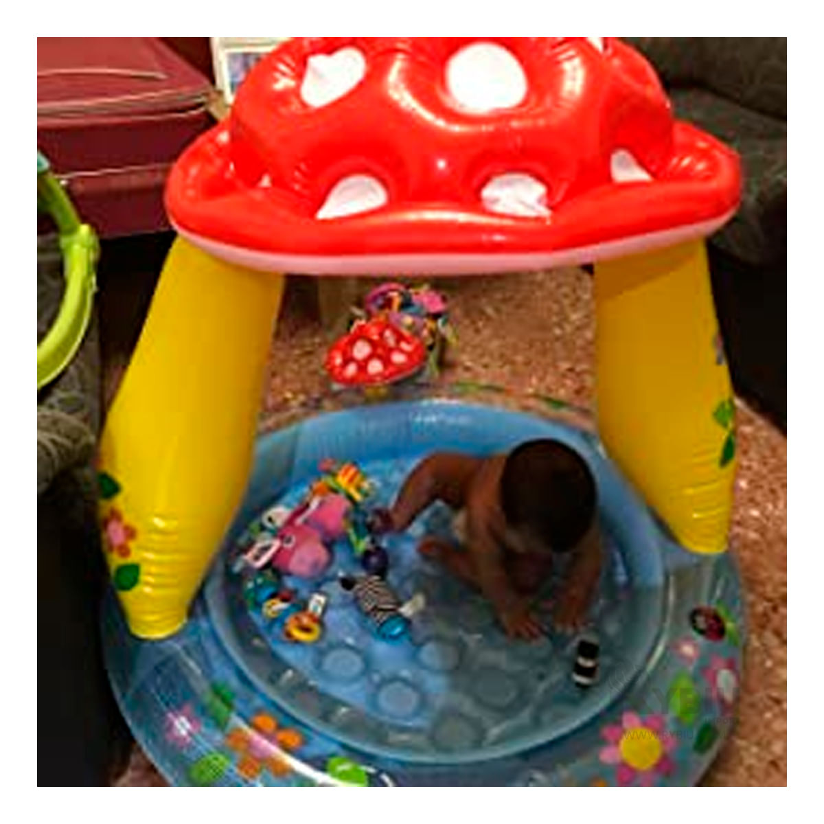 Inflable con Diseño de Hongo con Capacidad de 45 Litros