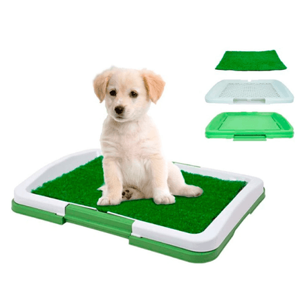 image-4b509a75a6474d418a217ba1cb7deaba image-4b509a75a6474d418a217ba1cb7deaba