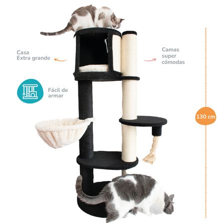 image-d2f6ae8e8a2d47c0bed9ab896d9f0095 image-d2f6ae8e8a2d47c0bed9ab896d9f0095