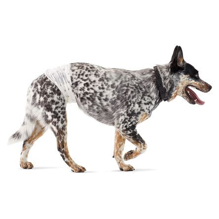 image-28ad6f03e829485fa08f016d8c996ca2 image-28ad6f03e829485fa08f016d8c996ca2