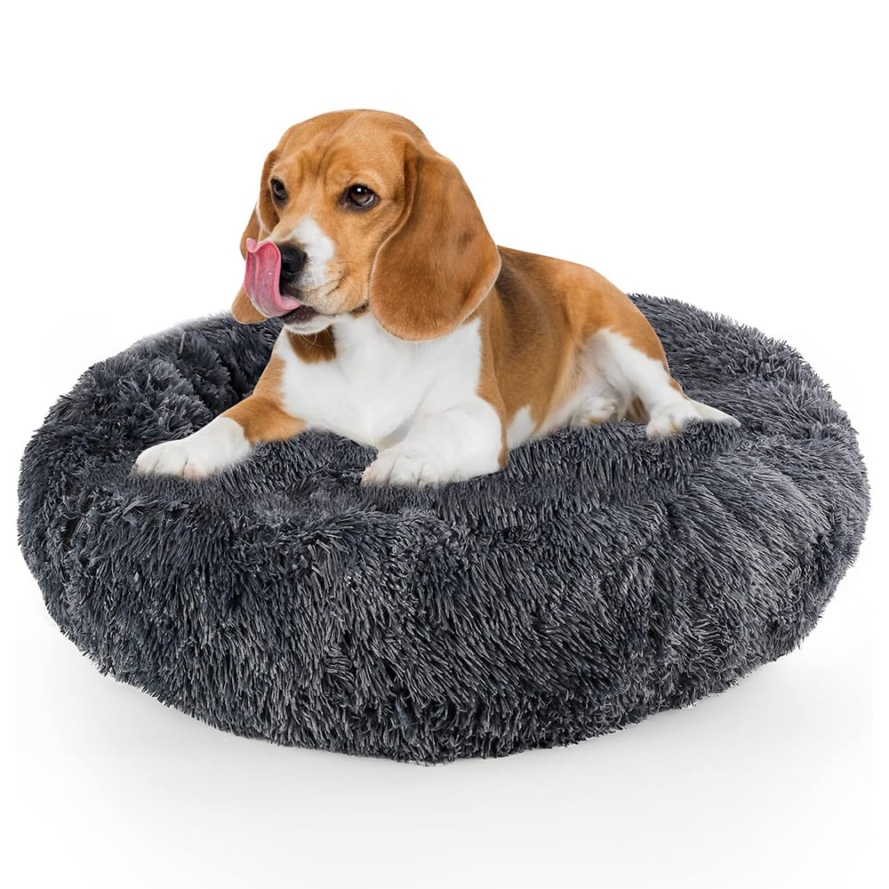 image-35111e8b794a46cea8b5491375248051 image-35111e8b794a46cea8b5491375248051