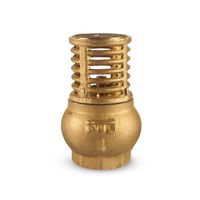 Válvula Check Canastilla 150 lb Cim de Bronce NPT 1'' Oro