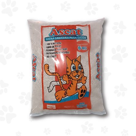 image-b965ee3dba7240b889b221d7da621757 image-b965ee3dba7240b889b221d7da621757