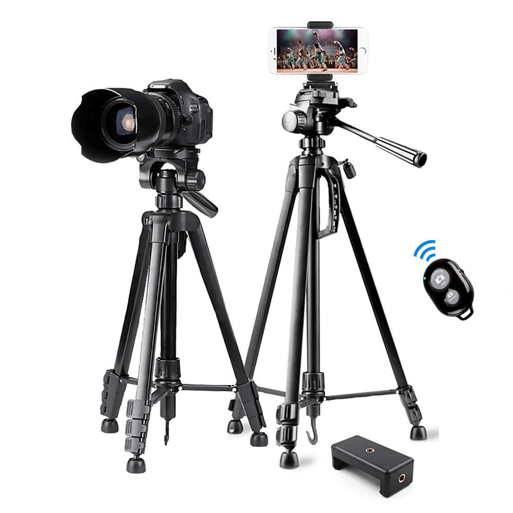 image-fc244aee51114edca2c72cebe8c7b7d1 image-fc244aee51114edca2c72cebe8c7b7d1