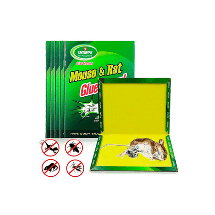 image-6cd7b814fd35421c8a6fac456e207a10 image-6cd7b814fd35421c8a6fac456e207a10