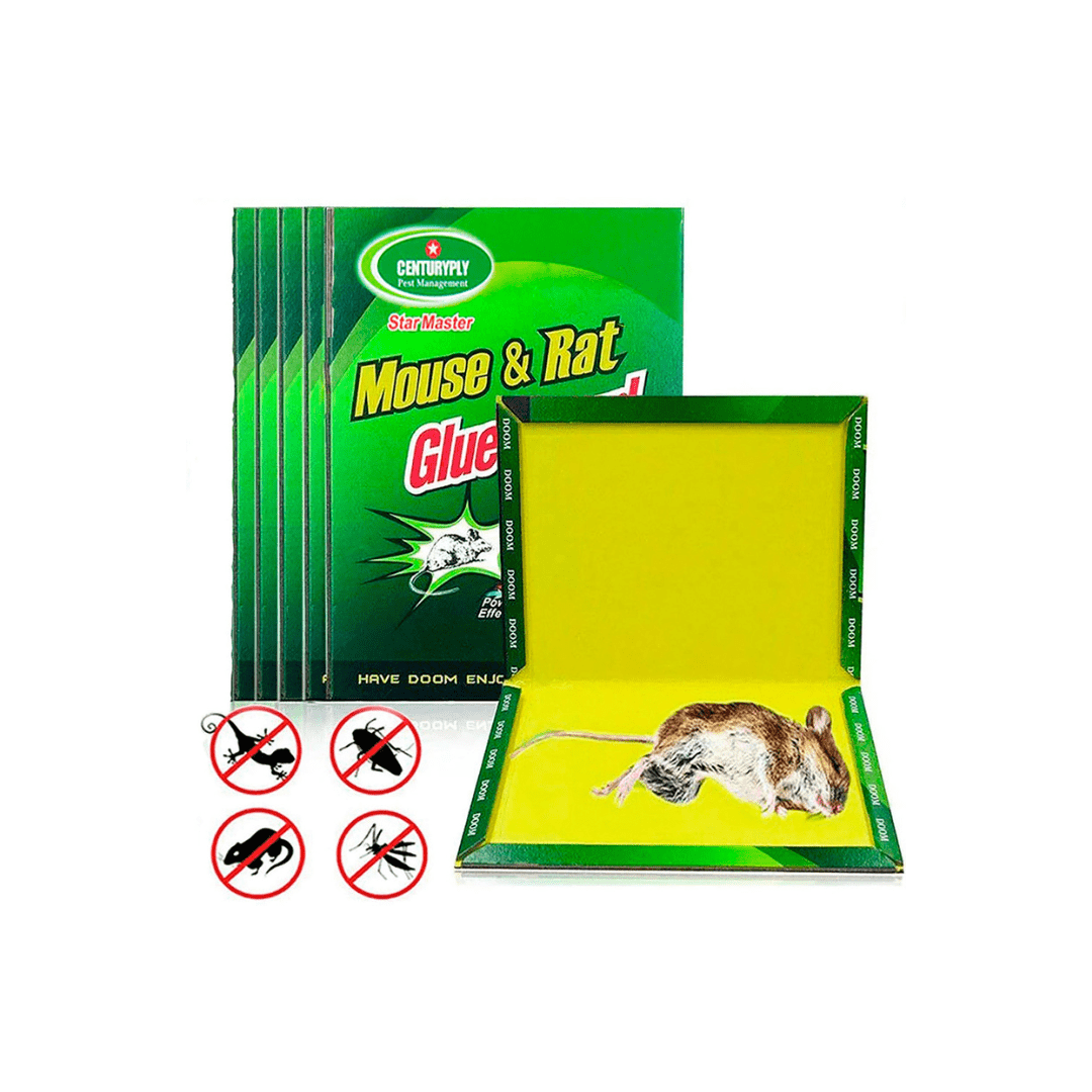 Trampa para Ratas y Ratones x 1 unidad