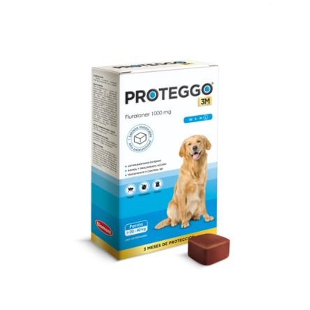 image-74e6a65691ac4ced9c2d86c08f0ced5c image-74e6a65691ac4ced9c2d86c08f0ced5c