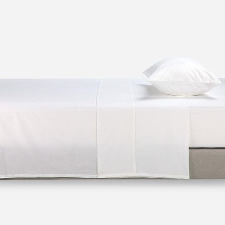 image-299df4b29ea94ce0a8344bee5523e336 image-299df4b29ea94ce0a8344bee5523e336