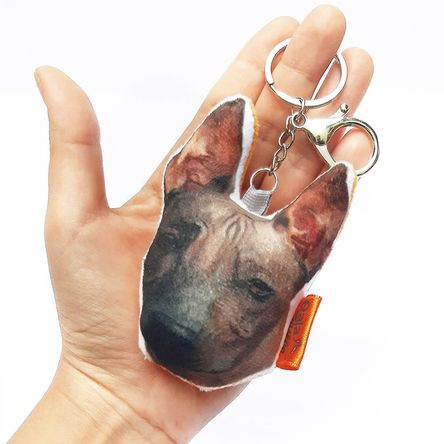 imageUrl_1 imageUrl_1