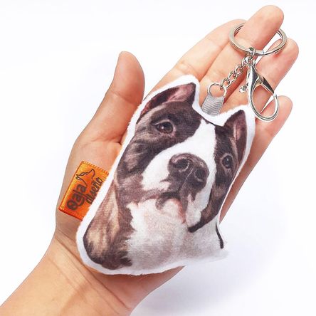 imageUrl_1 imageUrl_1