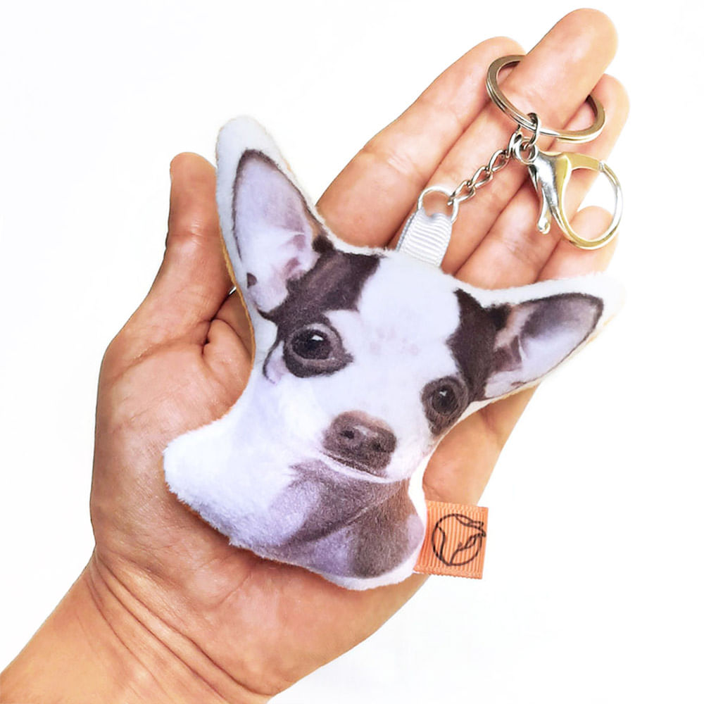 imageUrl_1 imageUrl_1