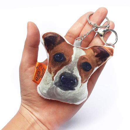 imageUrl_1 imageUrl_1