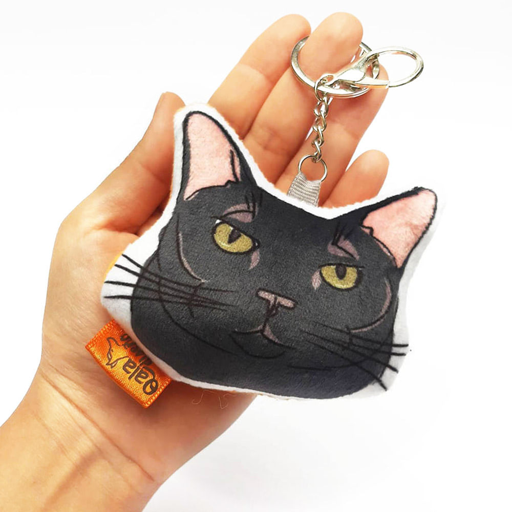 imageUrl_1 imageUrl_1