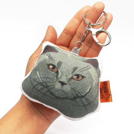 imageUrl_1 imageUrl_1