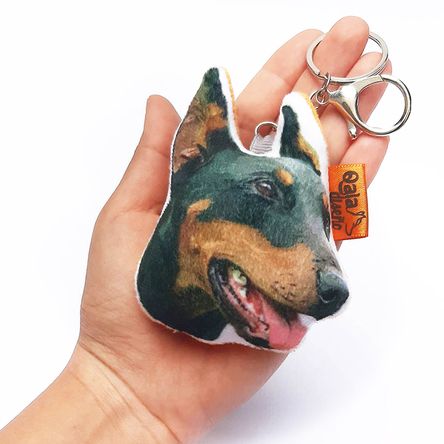 imageUrl_1 imageUrl_1