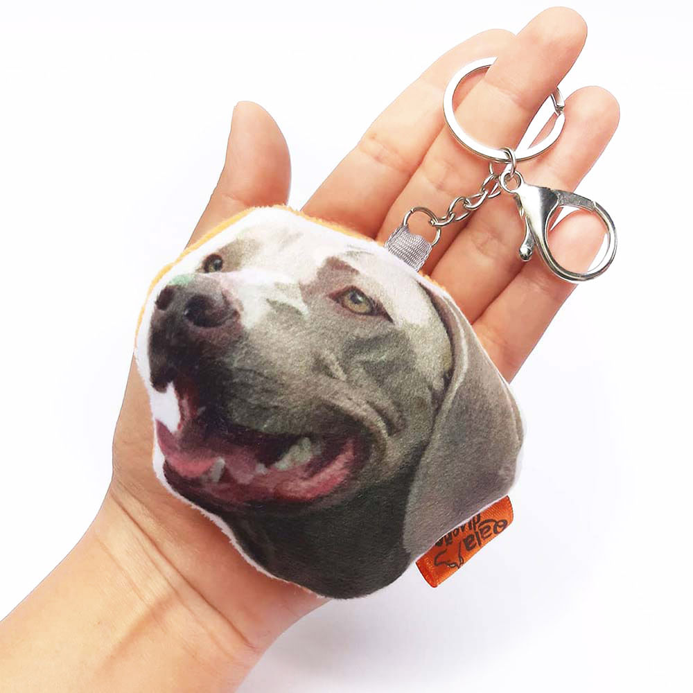 imageUrl_1 imageUrl_1