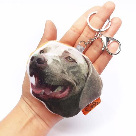 imageUrl_1 imageUrl_1