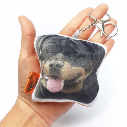 image-ad7d99f7bce9431dad3deec3dc341585 image-ad7d99f7bce9431dad3deec3dc341585