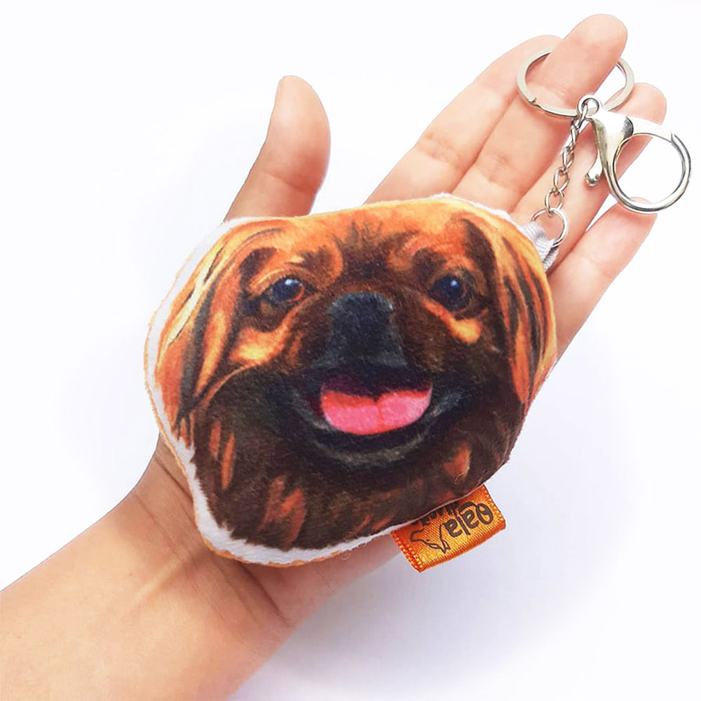 image-22ed289de2f3446da2021a9a521831d9 image-22ed289de2f3446da2021a9a521831d9